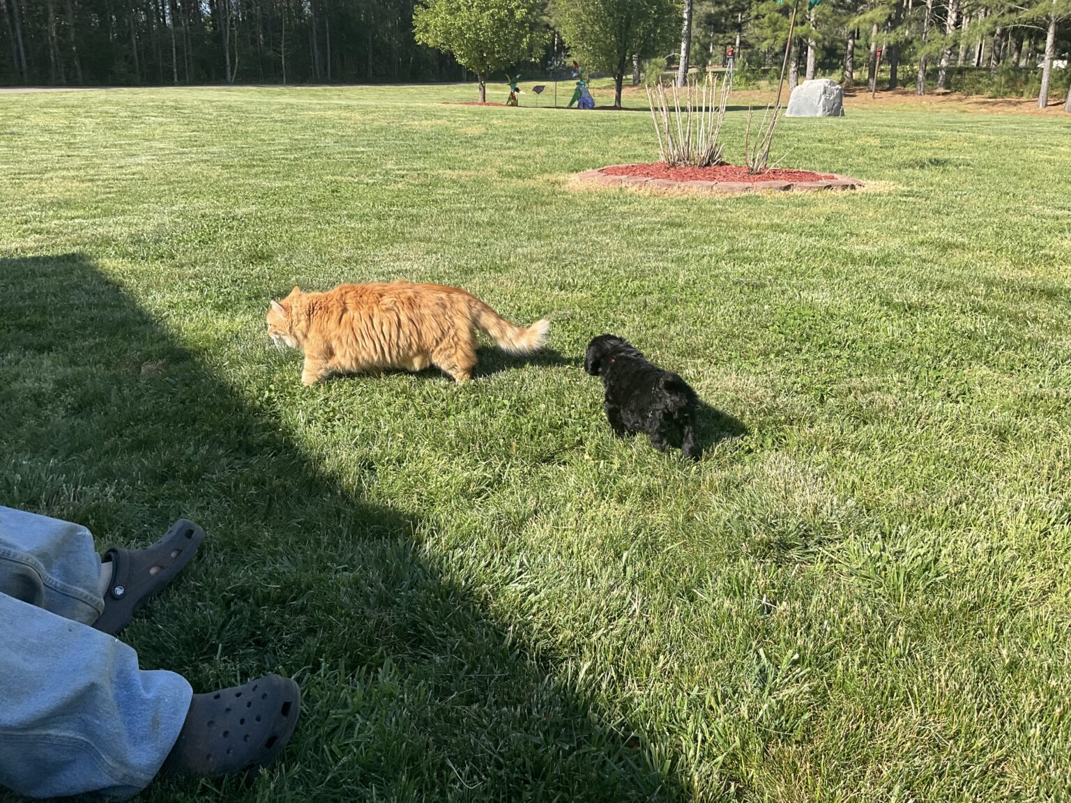 Stryker Kitty - Pierce Schnoodles